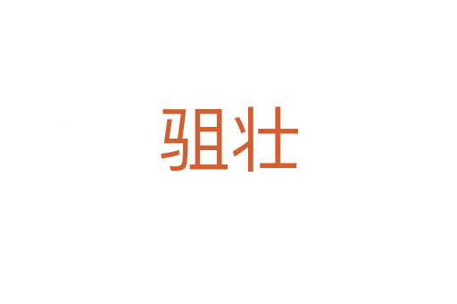 驵壮